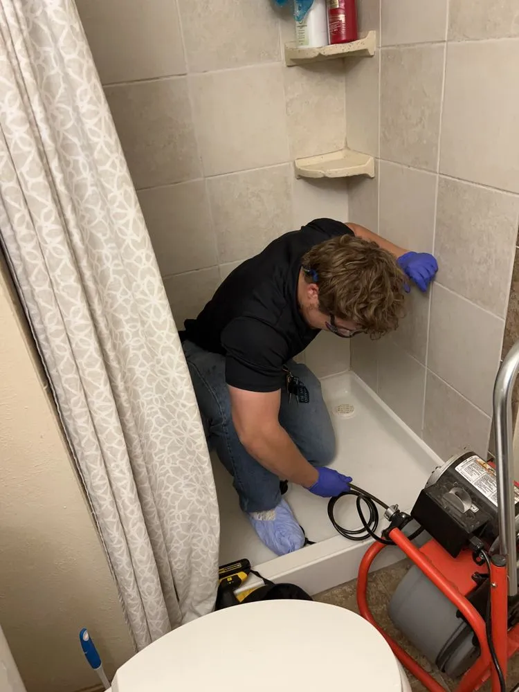 Slide of Great Snake