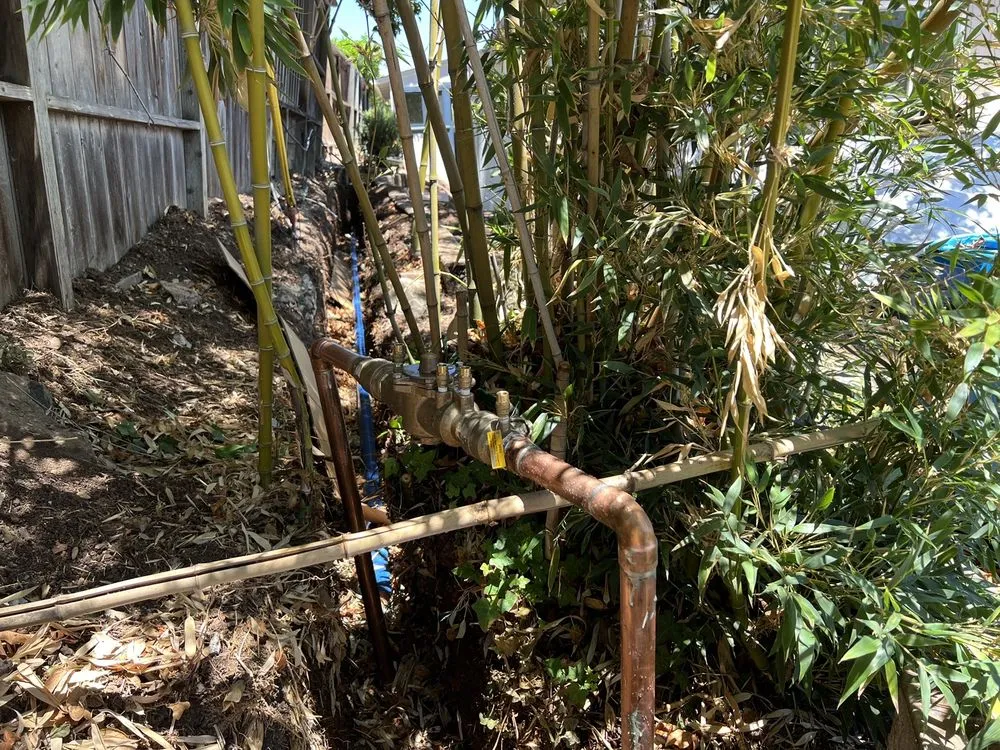 Slide of Greater Bay Backflow