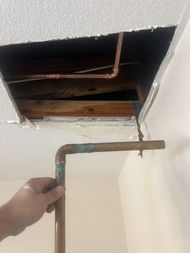 Slide of Green Build