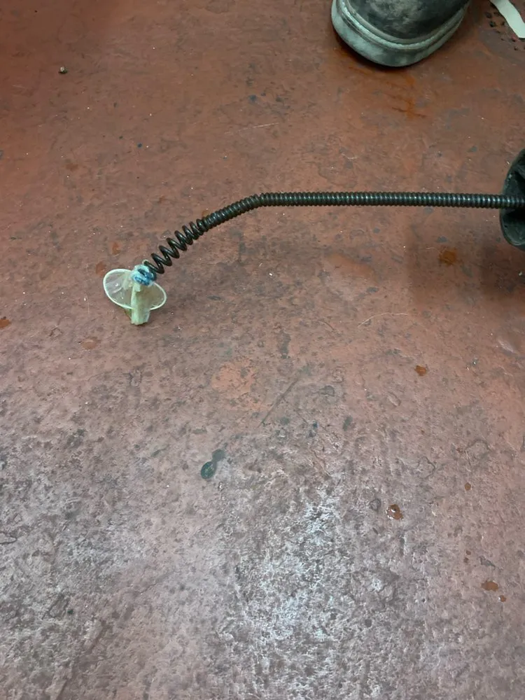 Slide of Green Earth