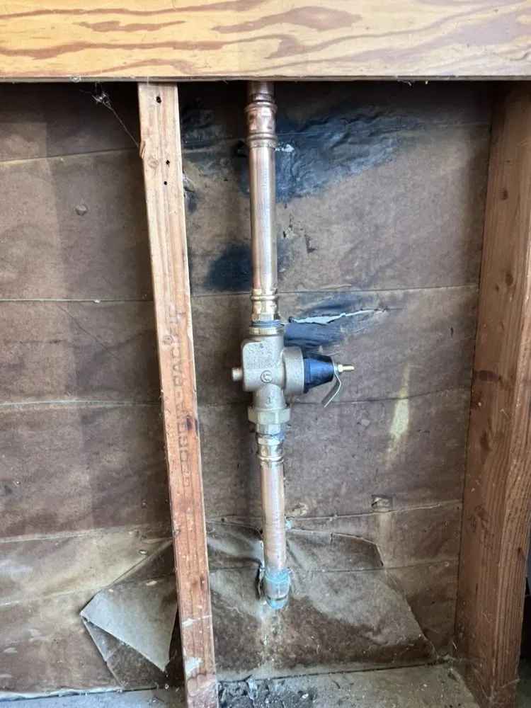 Slide of Green Earth