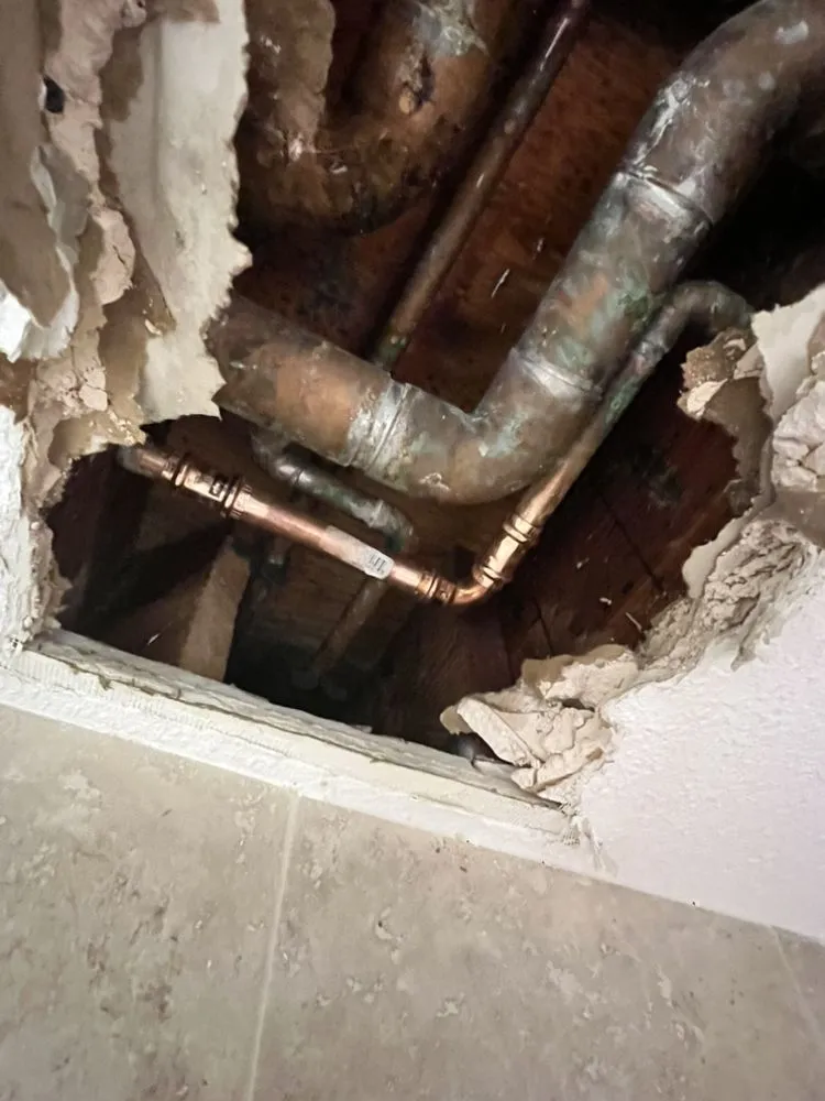 Top-rated leak detection for homes in Lemon Grove, CA by Green Earth