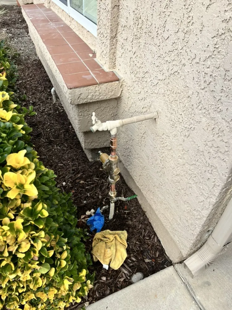 Slide of Green Earth