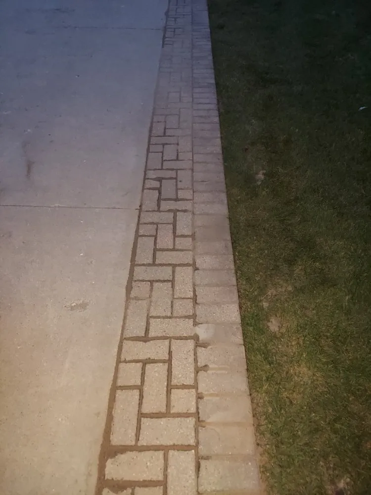 Slide of Green Holmes