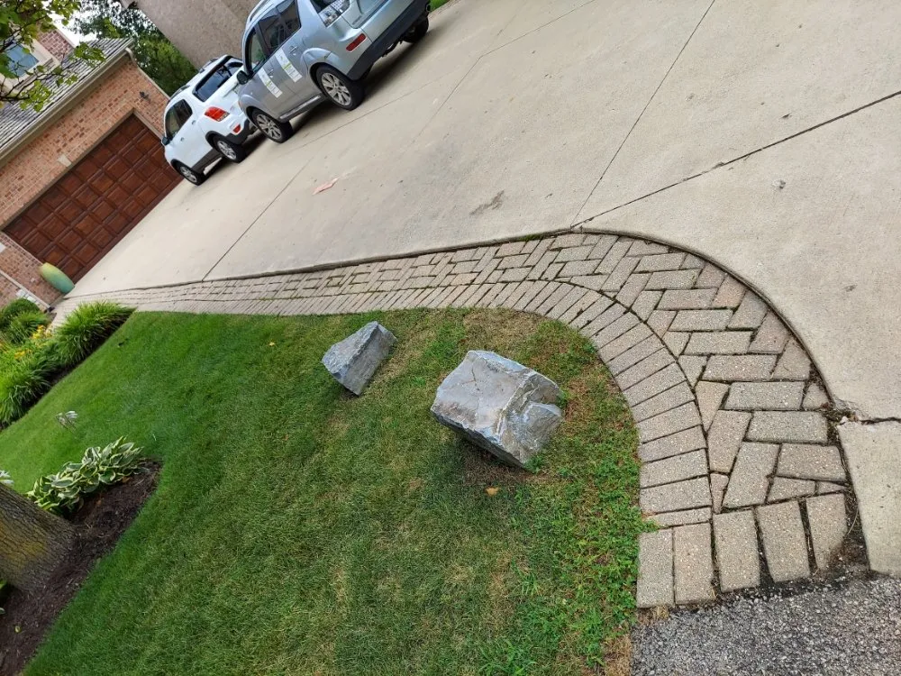 Slide of Green Holmes