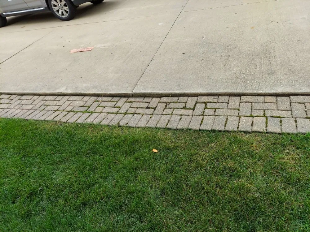 Slide of Green Holmes