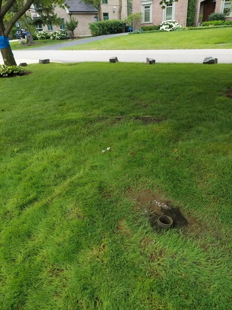 Slide of Green Holmes