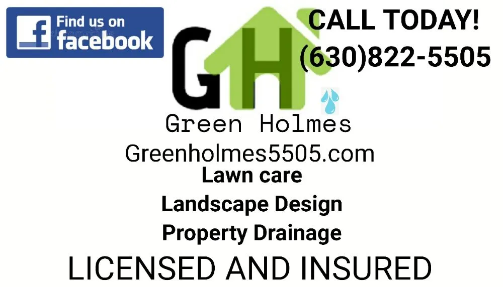 Slide of Green Holmes