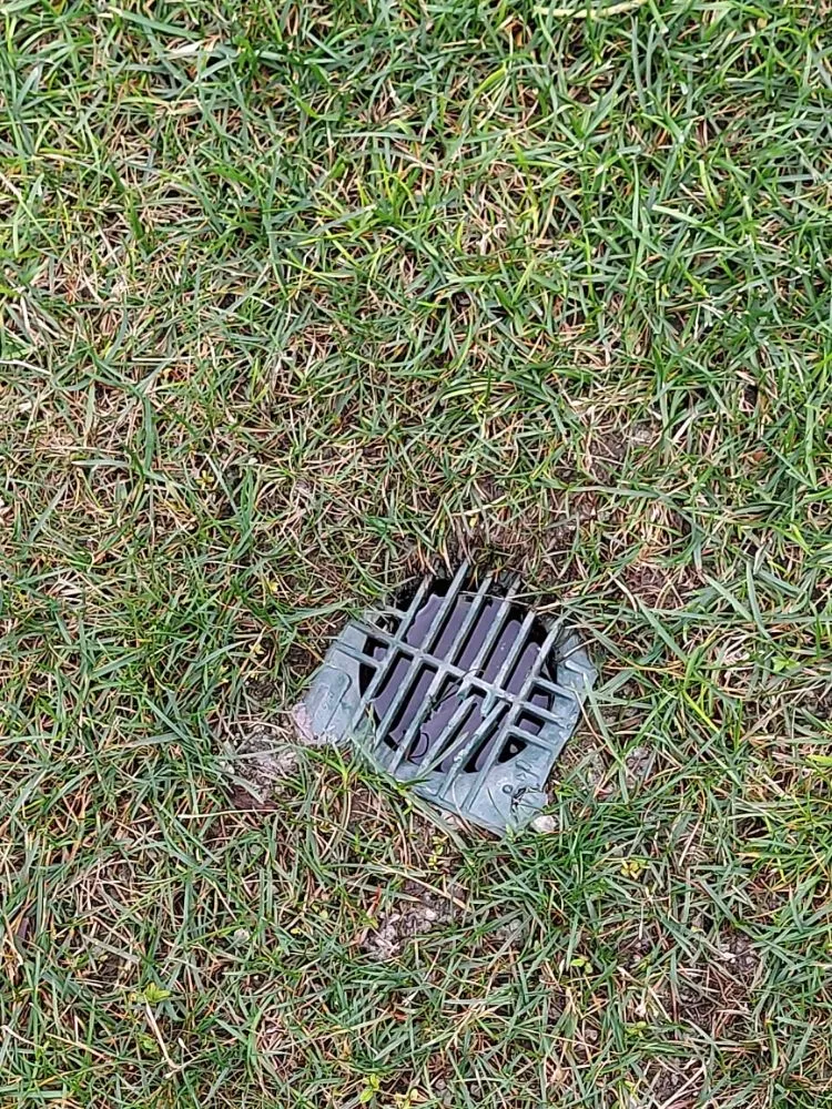 Slide of Green Holmes