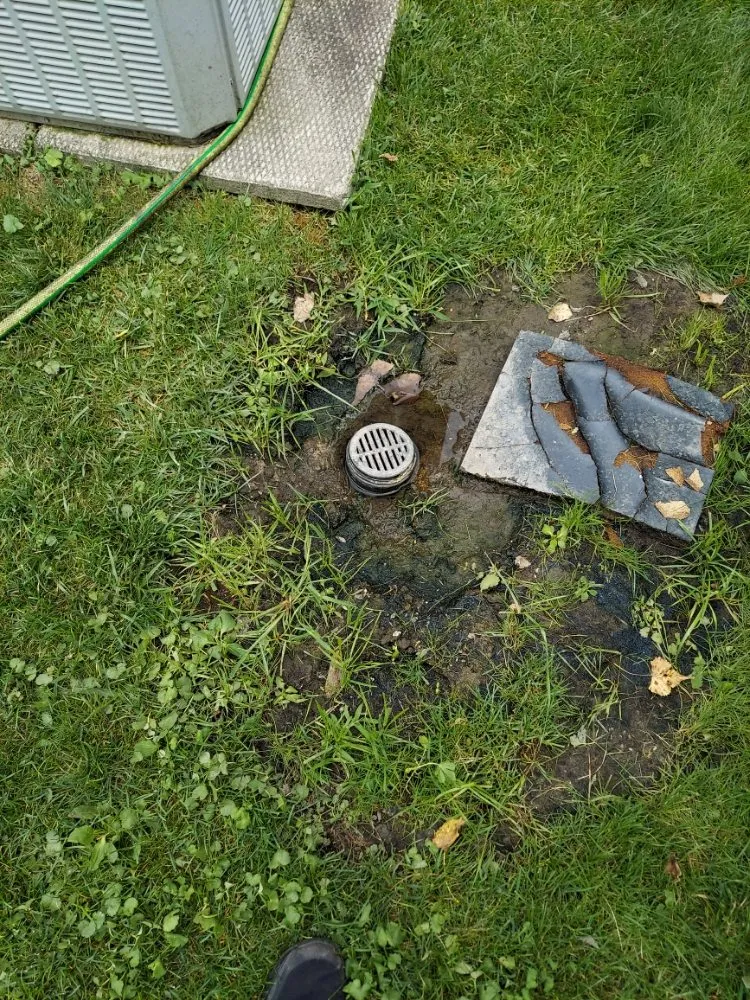 Slide of Green Holmes