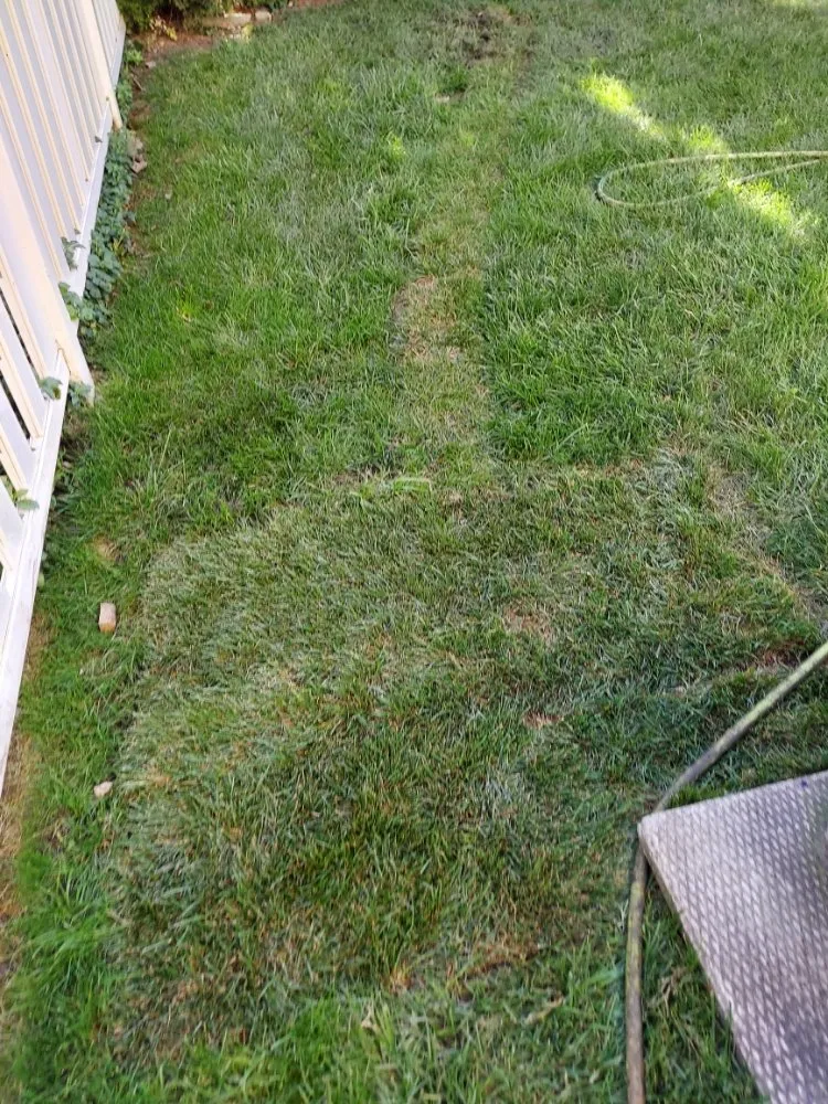 Slide of Green Holmes