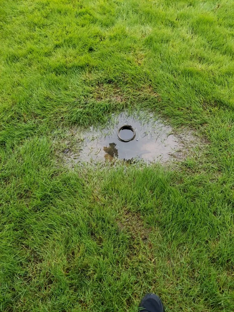 Slide of Green Holmes