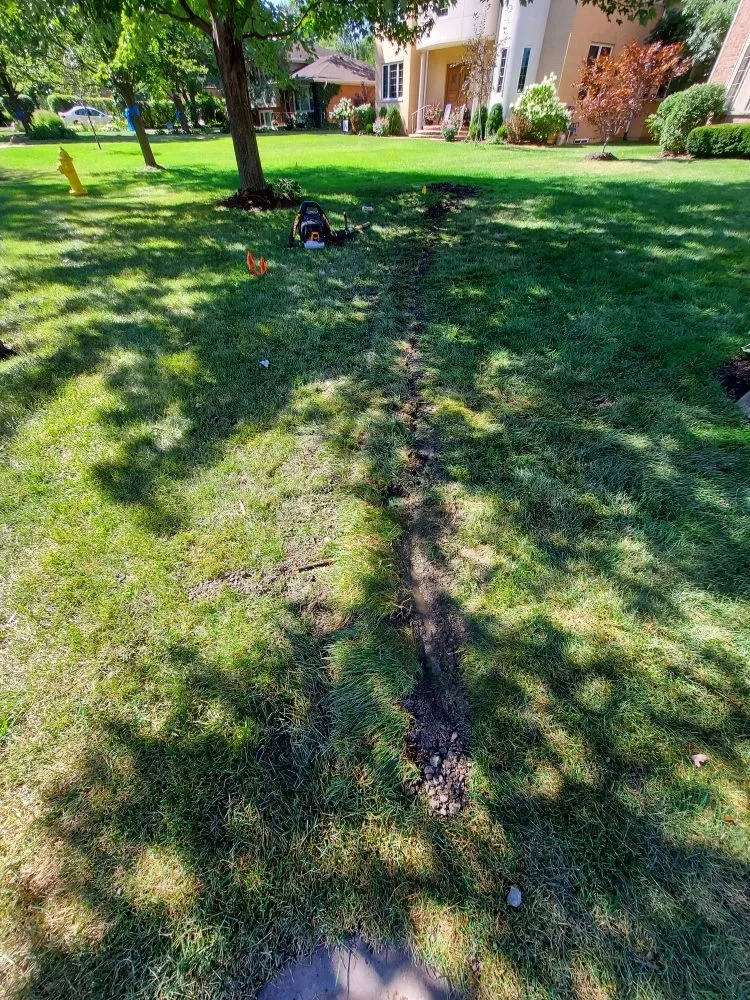 Slide of Green Holmes