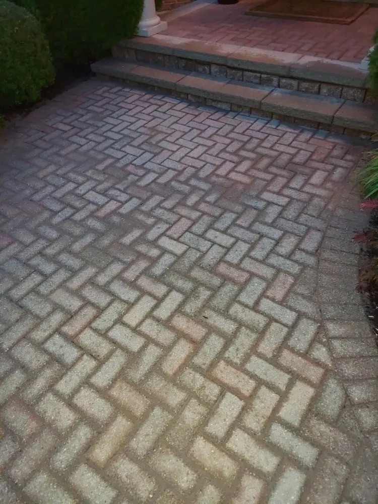 Slide of Green Holmes