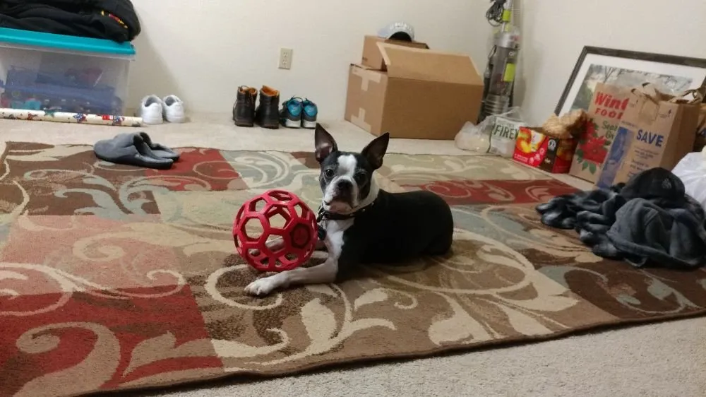 Slide of Green Lake Sewer & Drain