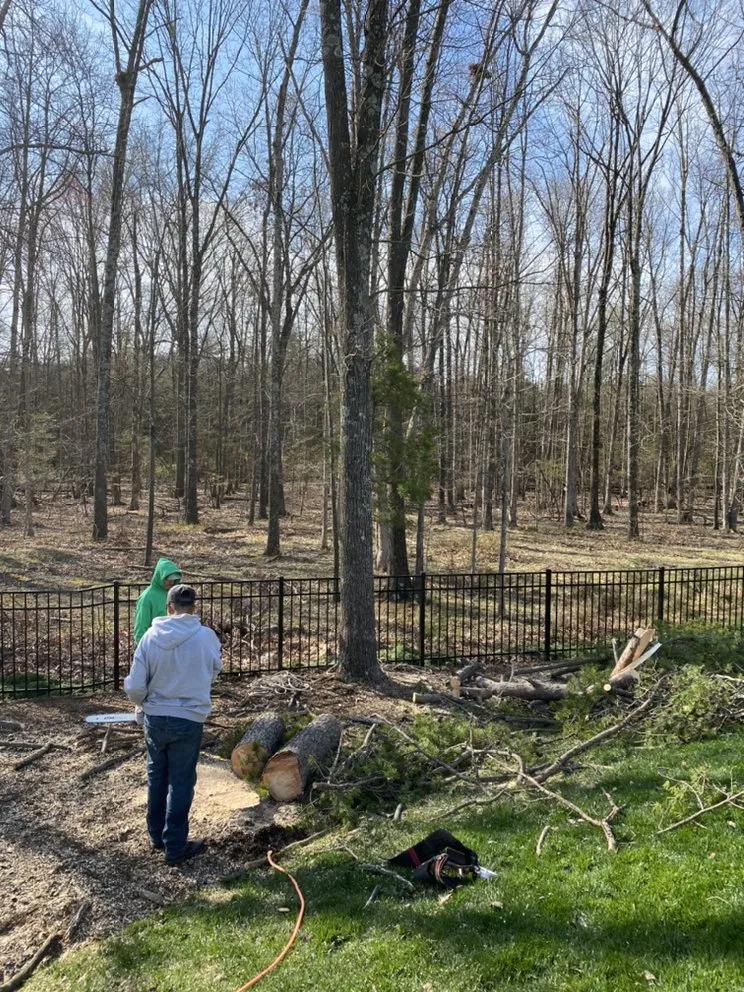 Slide of Green Landscaping