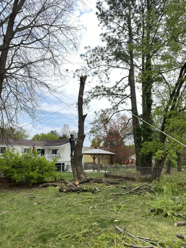Slide of Green Landscaping
