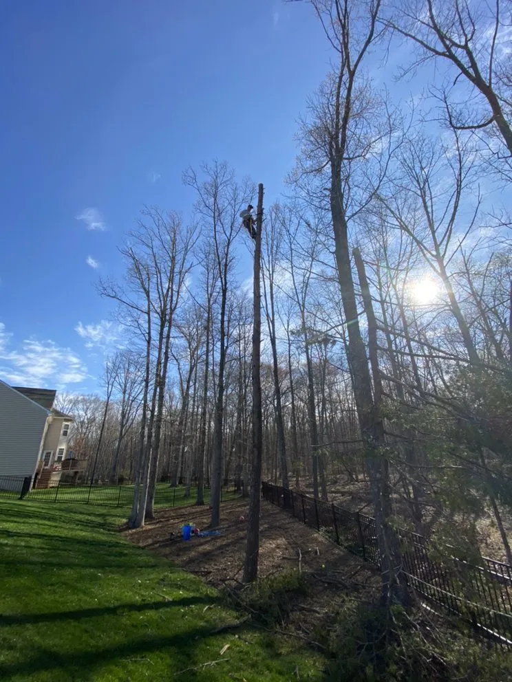 Slide of Green Landscaping