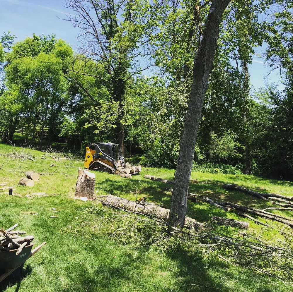 Slide of Green Landscaping