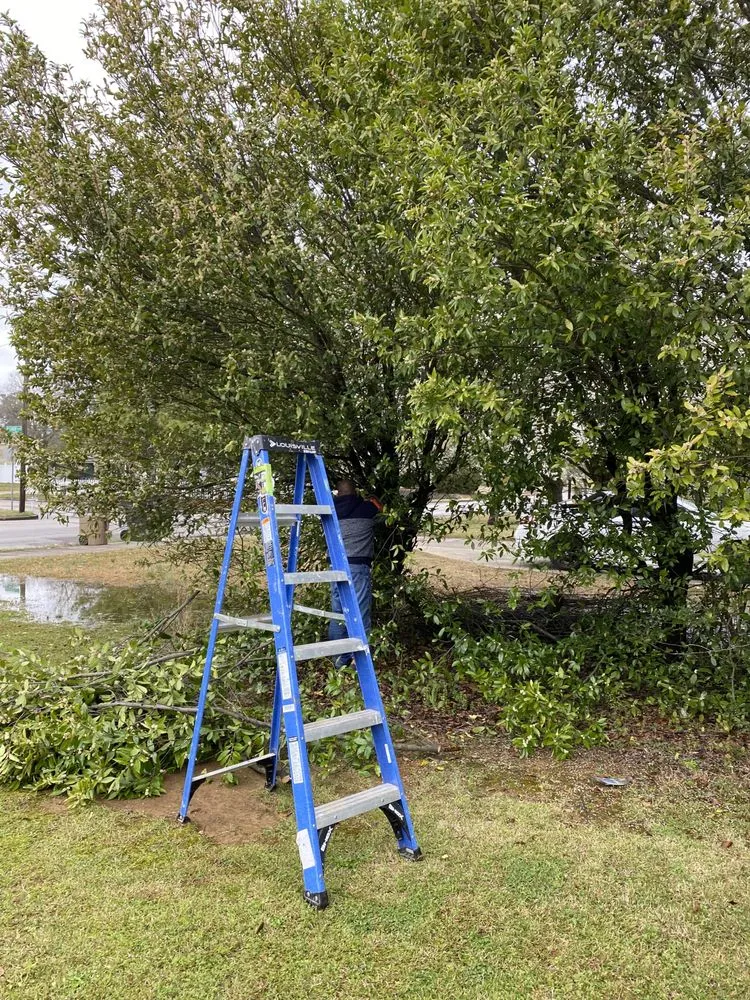 Slide of Green Lawn Care