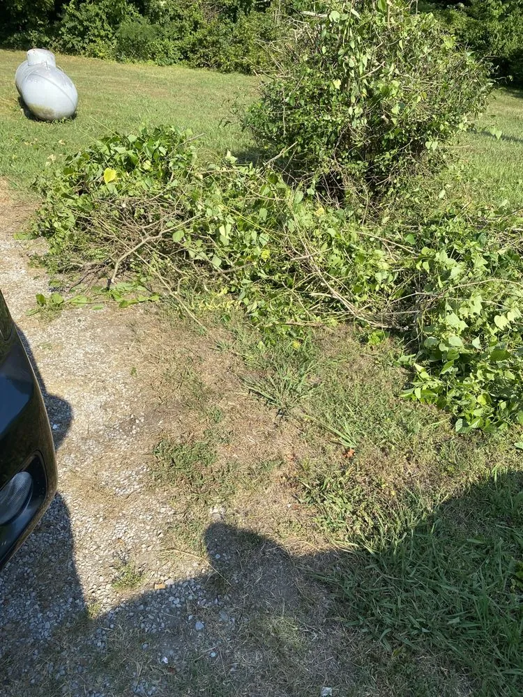 Slide of Green Lawn Care