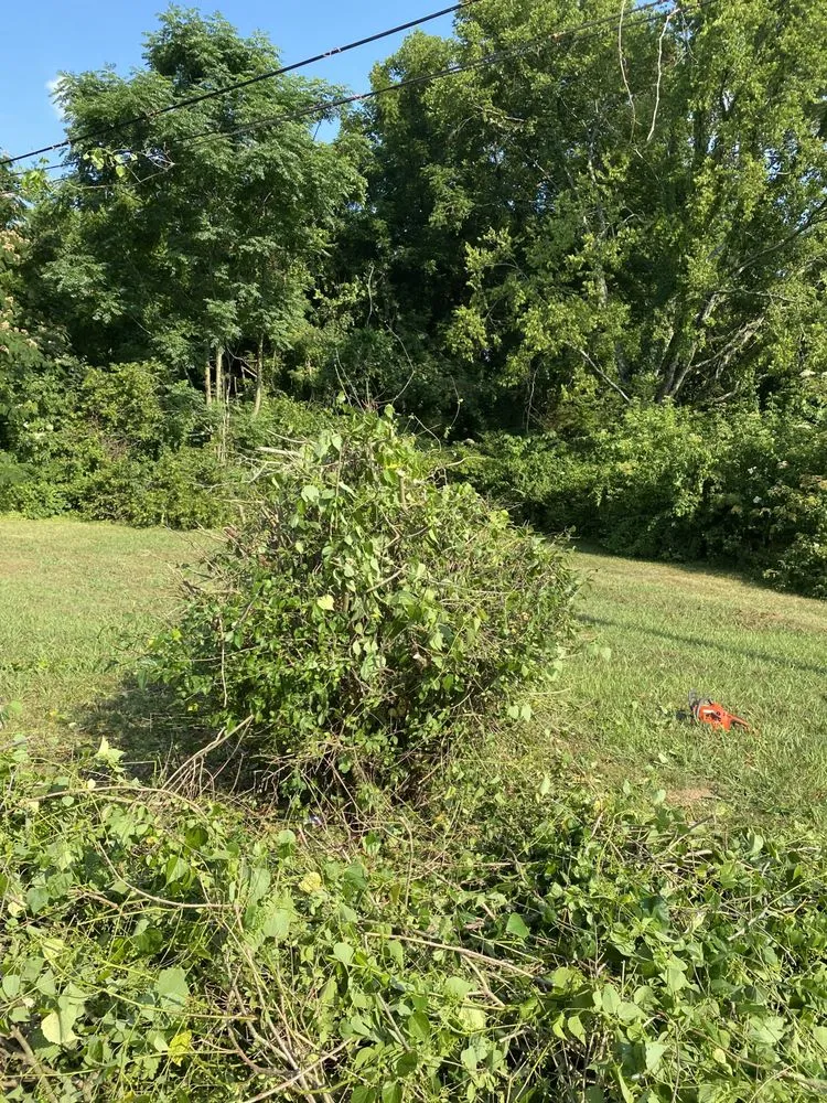 Slide of Green Lawn Care