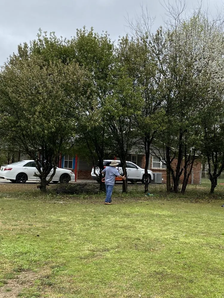 Slide of Green Lawn Care