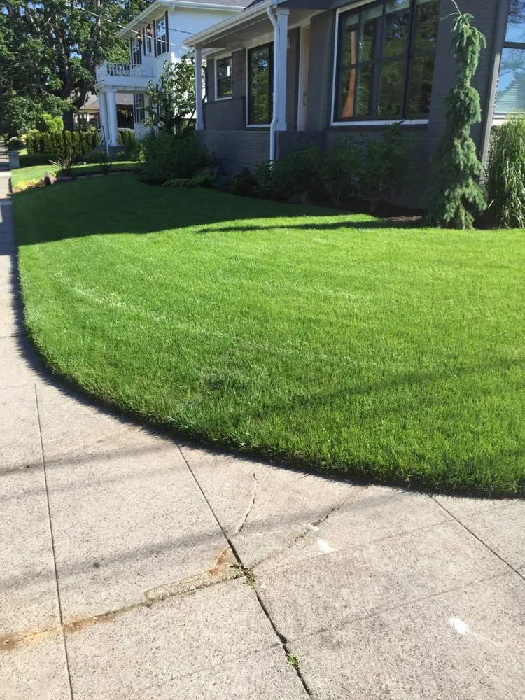 Emergency emergency plumbing in Portland, OR by Green Leaf Irrigation & Landscape