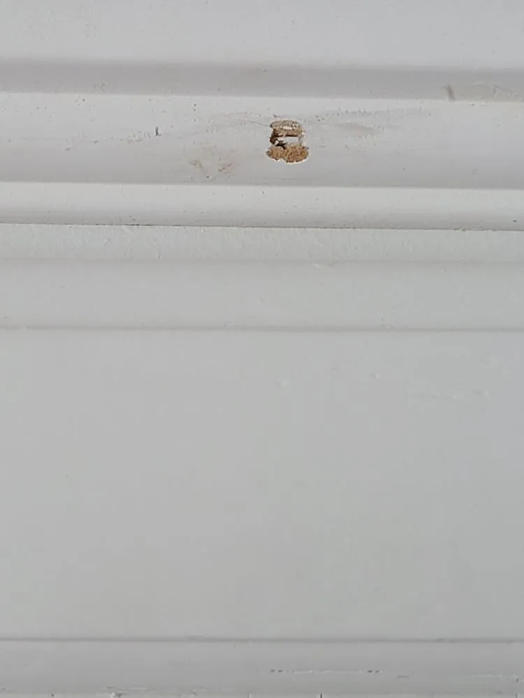 Slide of Green Oak Handyman Services