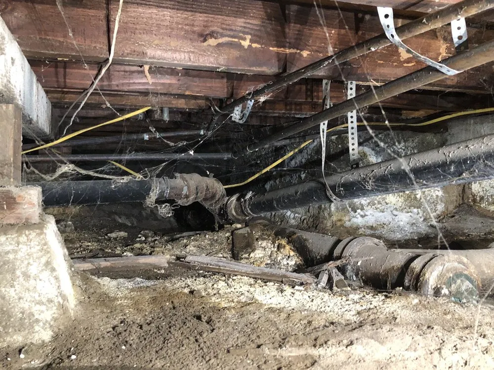 Slide of Green Planet Plumbing