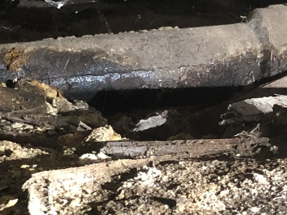 Slide of Green Planet Plumbing