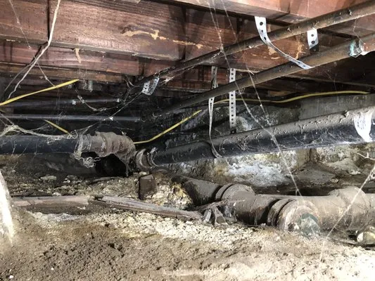 Green Planet Plumbing Logo