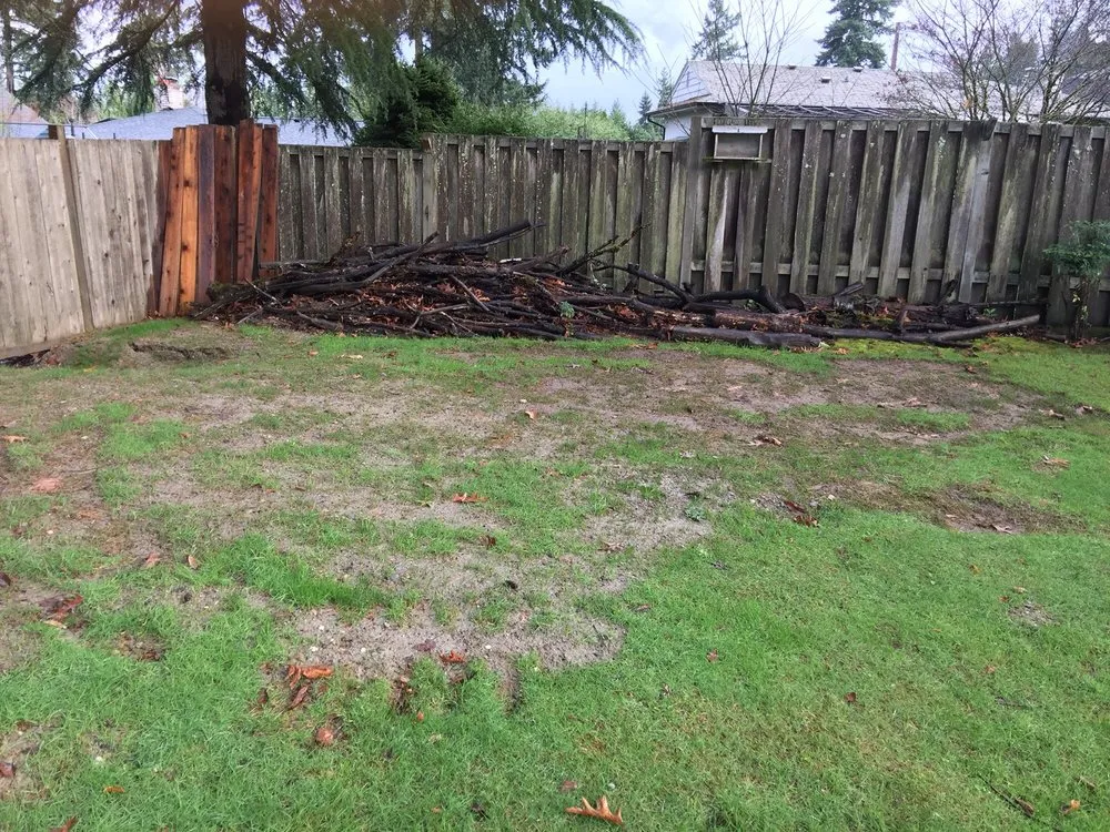 Slide of Green Planet Plumbing