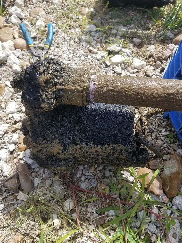 Slide of Green Septic