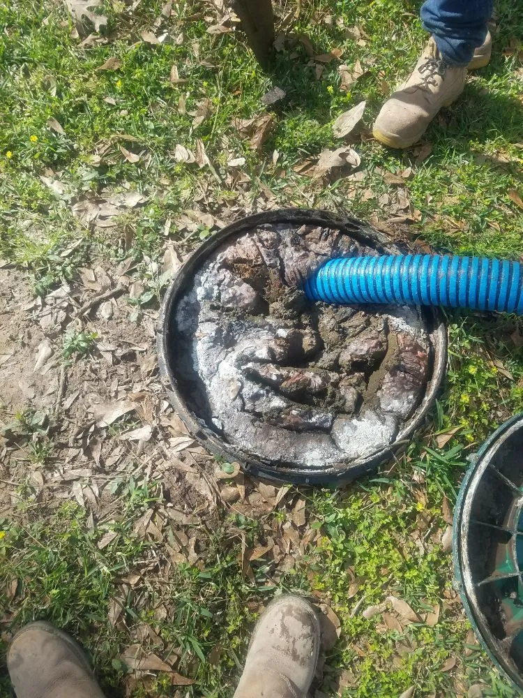 Slide of Green Septic