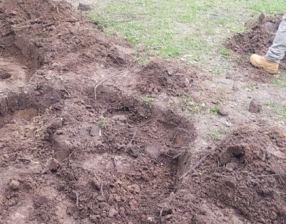 Slide of Green Septic