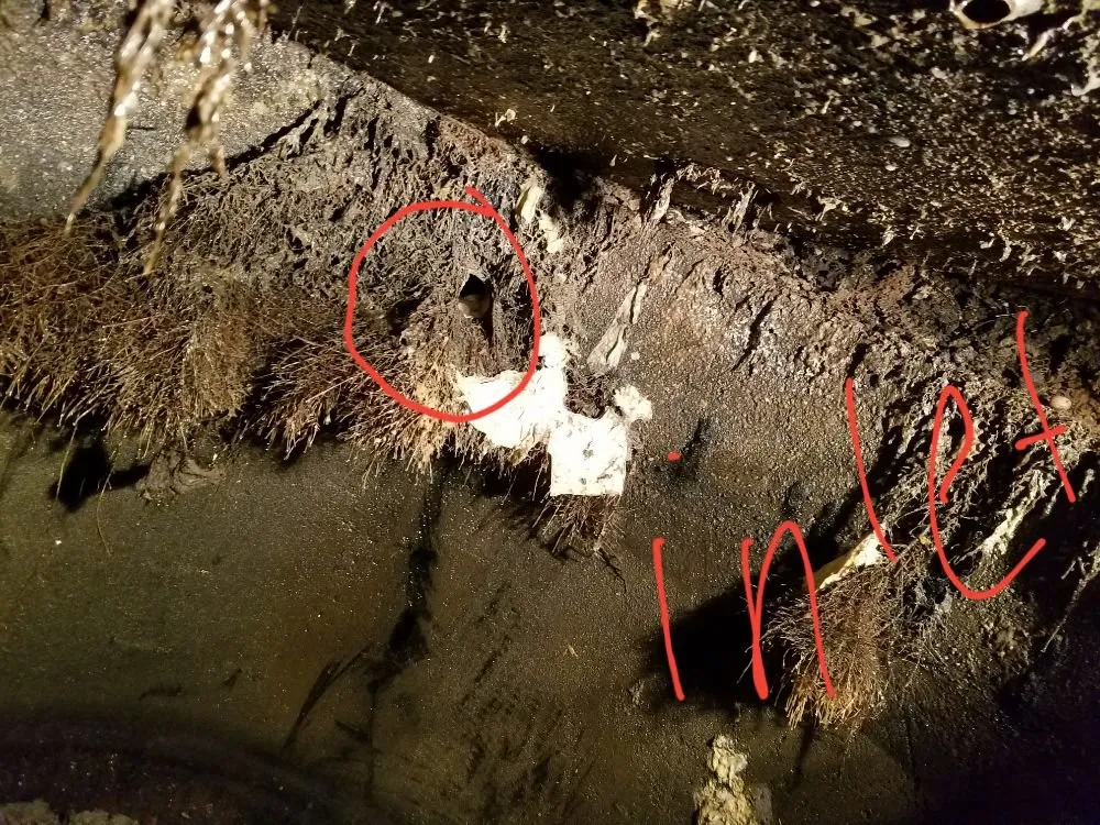 Slide of Green Septic