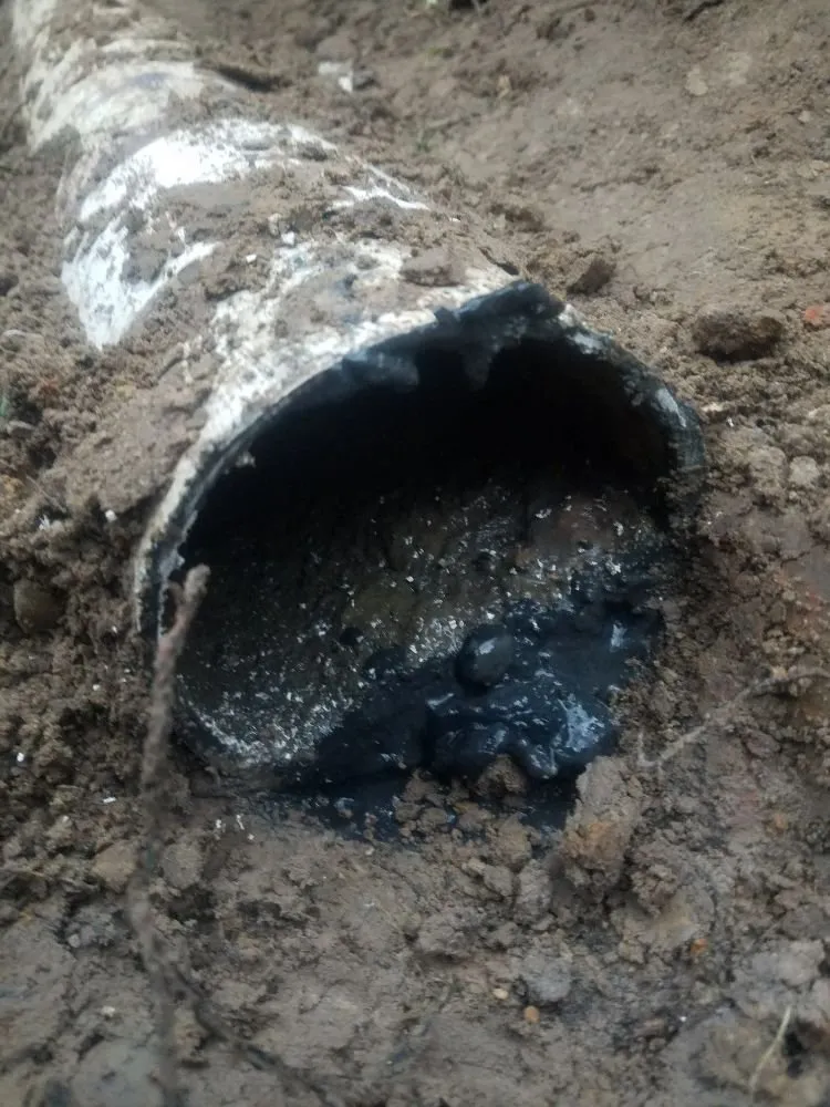 Slide of Green Septic