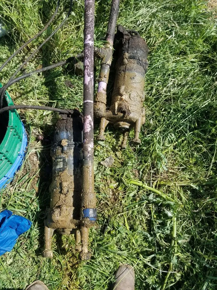 Slide of Green Septic