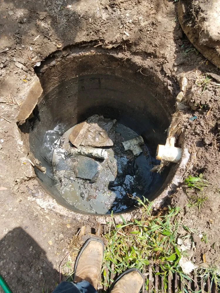 Slide of Green Septic