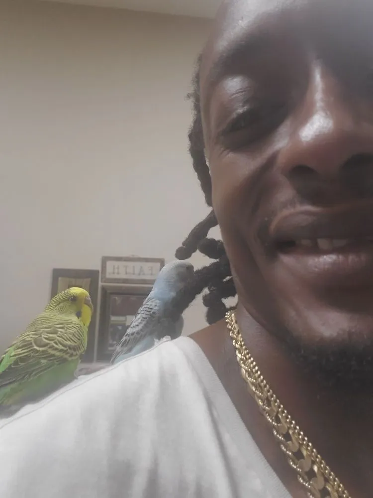 Slide of Green Team Drains