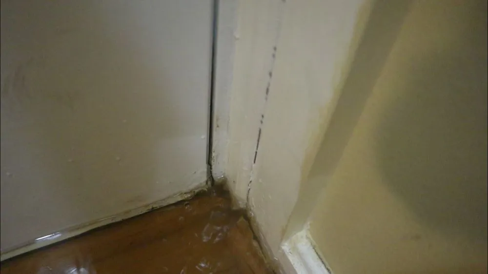 Top-rated plumbing repair for homes in Woodbridge, VA by Greenacre Plumbing