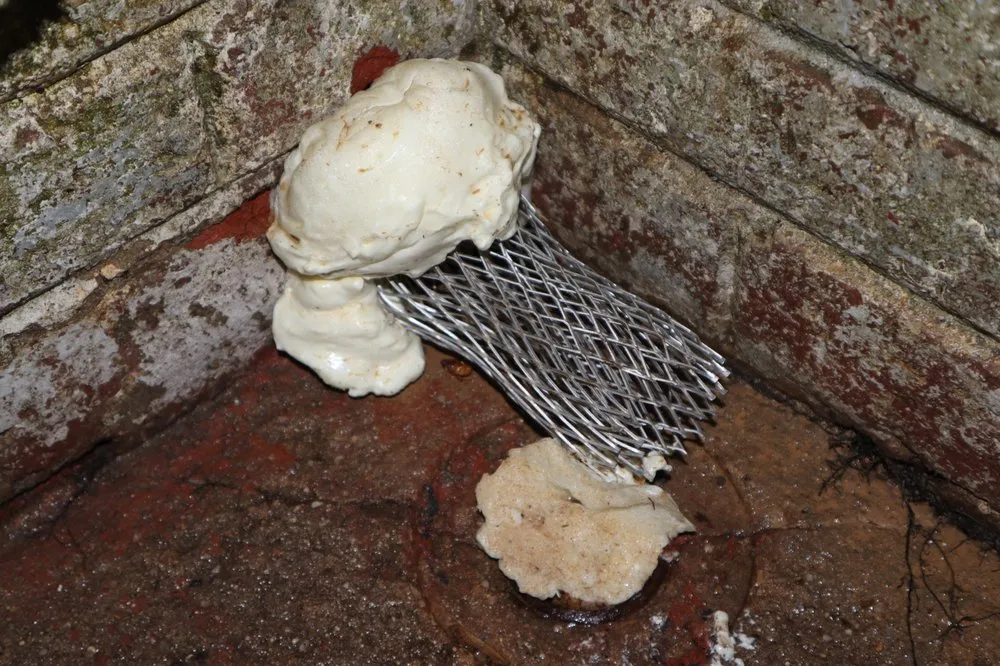 Slide of Greenacre Plumbing