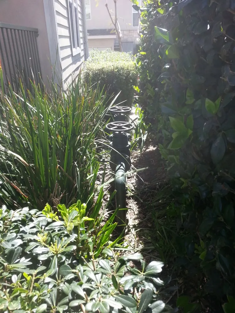 Emergency water heater service experts serving Santa Clarita, CA - Greene Backflow Testing & Repair