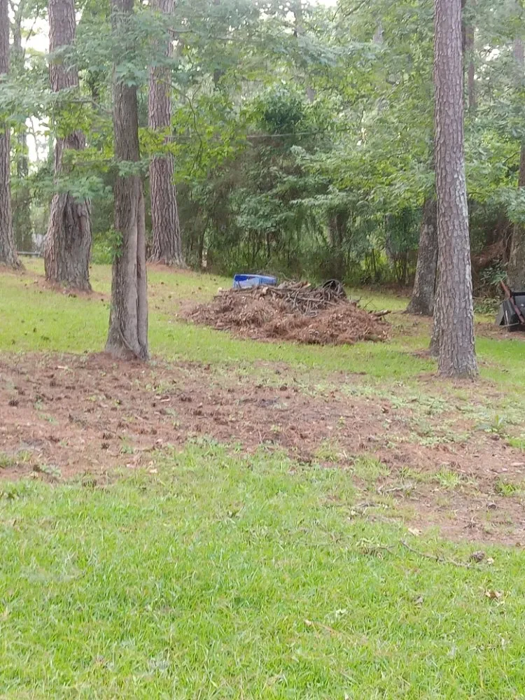 Slide of Greenspace Lawn Care And Home Maintenance