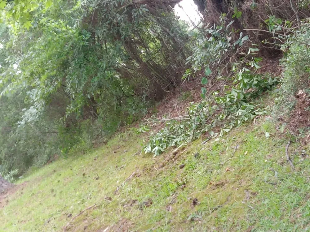 Trusted emergency plumbing for homes in Ball, LA by Greenspace Lawn Care And Home Maintenance