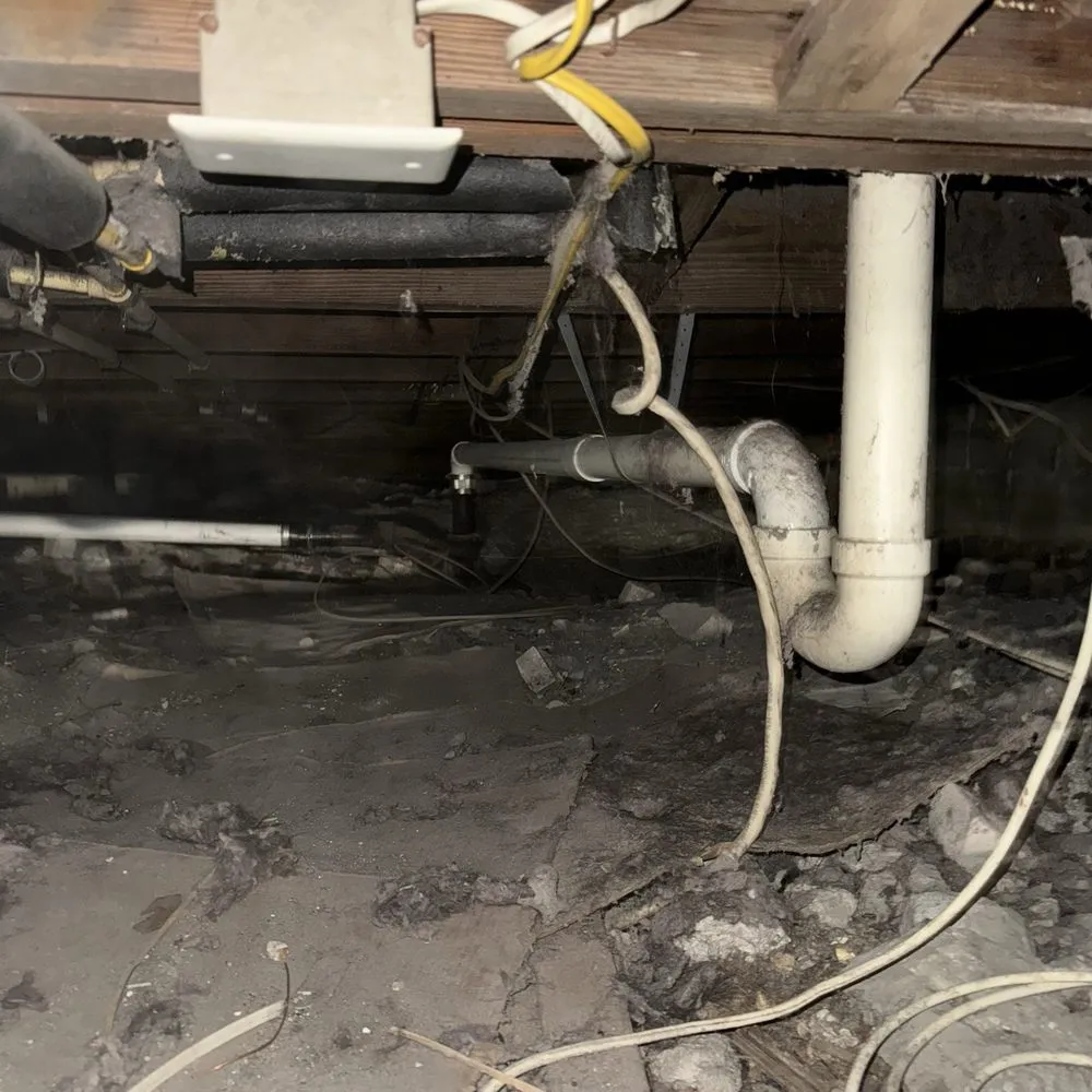 Top-rated leak detection experts serving Jacksonville, FL - Griffin Handyman Services