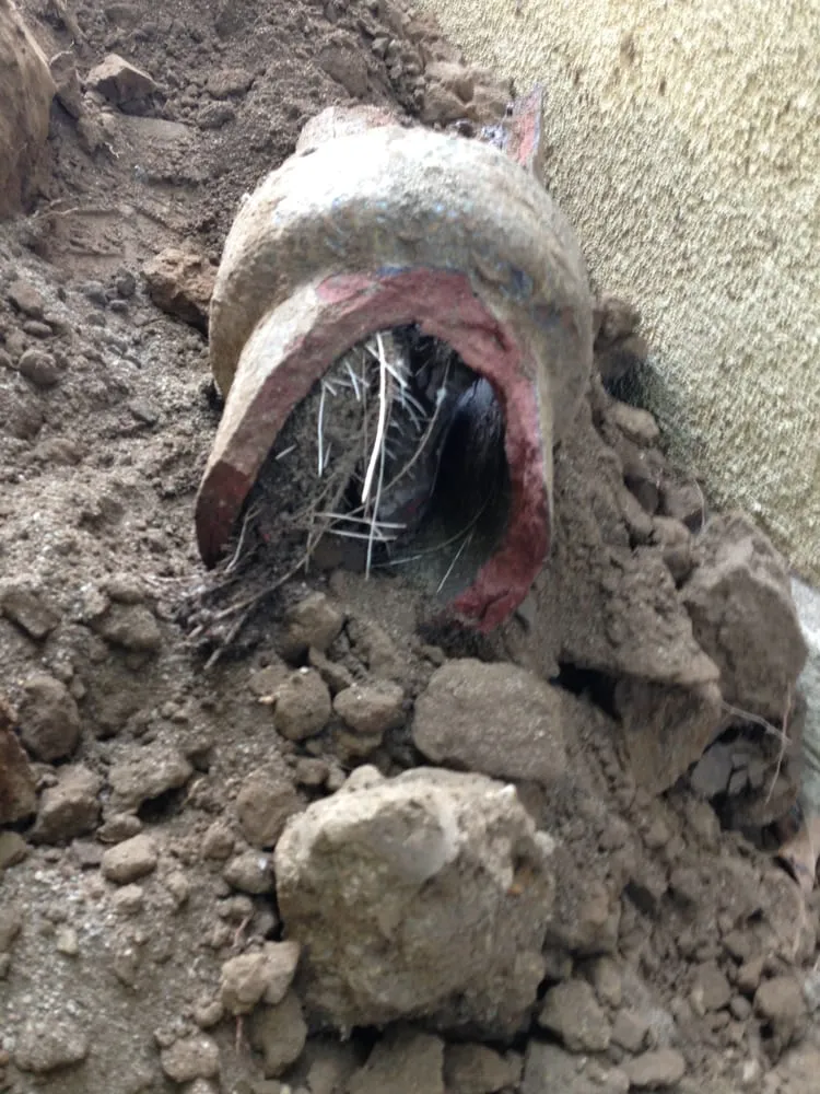 Slide of Griffin's Plumbing