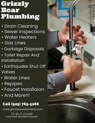 Slide of Grizzly Bear Plumbing