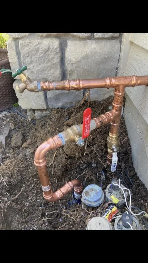 Slide of Grizzly Bear Plumbing